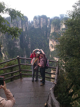 袁家界景区旅游景点攻略图