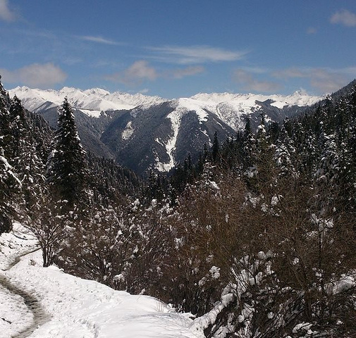 "经过昨天海拔较高的梦笔山，我觉得我爬玛嘉沟这座雪山完全不用担心高反了。木栈道上的羊群_玛嘉沟"的评论图片