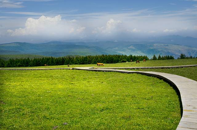 芦芽山旅游度假区