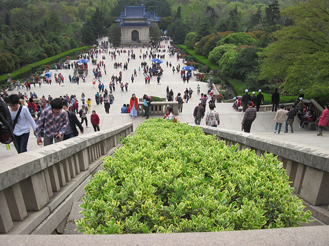 中山陵景区旅游景点攻略图