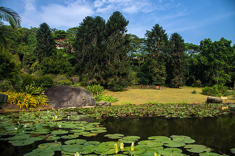 厦门园林植物园