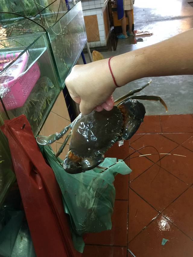 江西冷海鲜市场