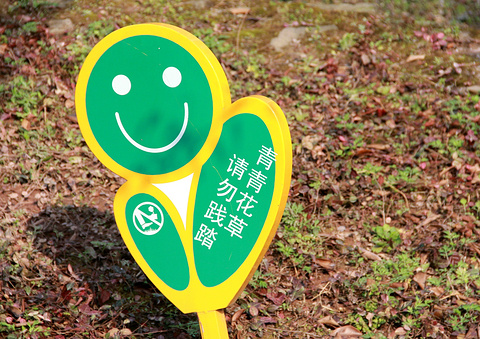 大寨子公园旅游景点攻略图