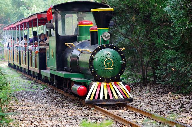 上海共青森林公园