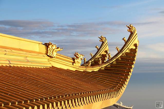 连雨不知春去,一晴方觉夏深--成都七日游