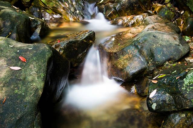千岛湖森林氧吧