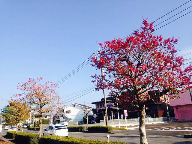 Alexander&Sun免税店