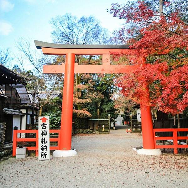 上贺茂神社旅游攻略