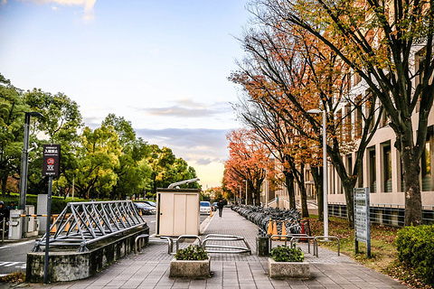 名古屋大学