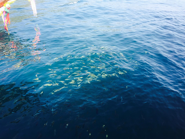 虽然我们觉得这里没有芒果湾好玩和漂亮,但还是不错的.