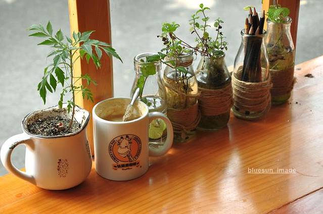 长颈鹿咖啡(大学路店)