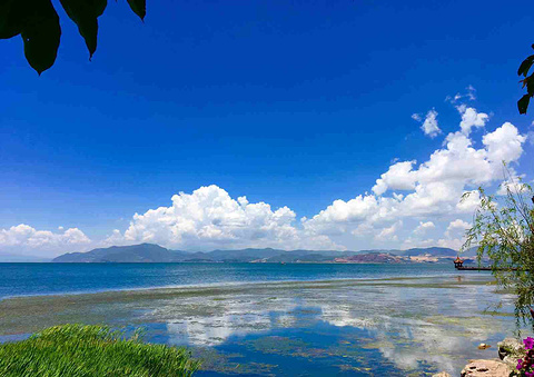 洱海