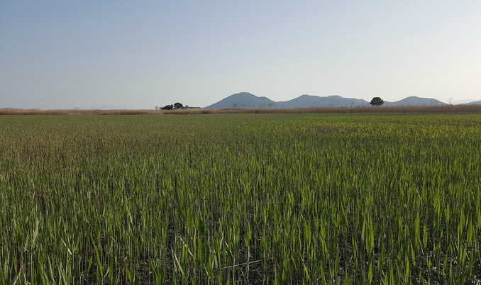 韩国全罗道庆尚道3天2夜定制游-首尔旅游攻略-游记-去哪儿攻略