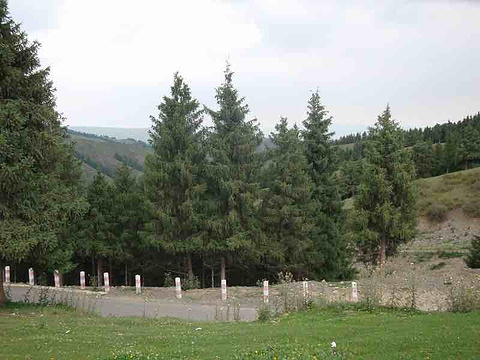 南山牧场旅游景点攻略图
