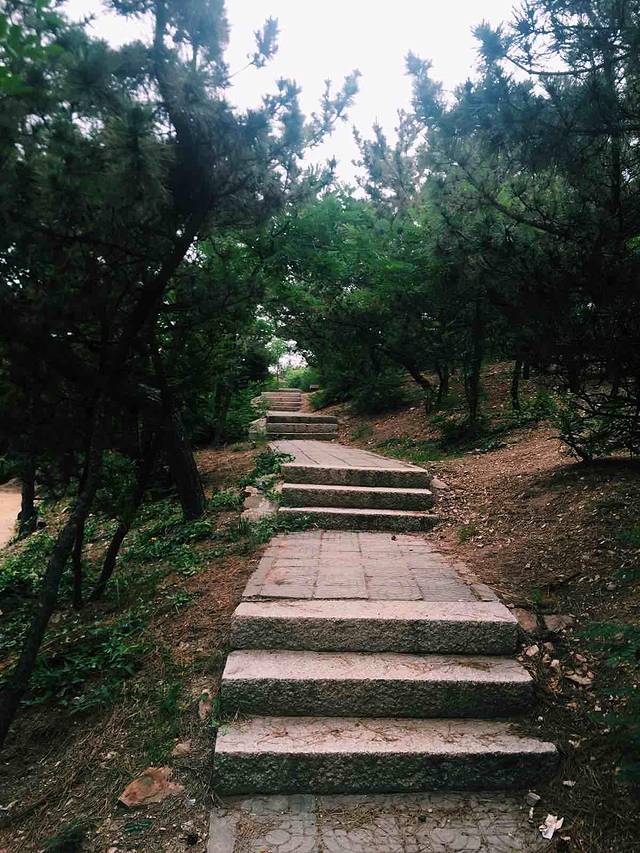 青岛北岭山森林公园