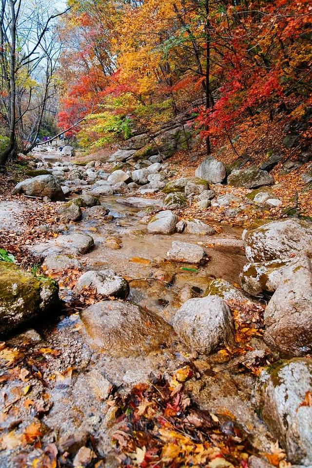 大冰沟国家地质森林公园