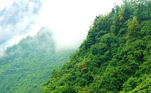枣庄熊耳山