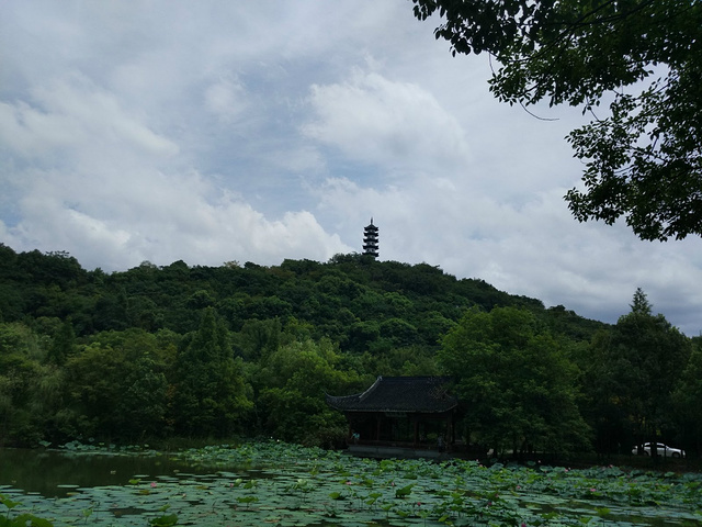 "在西施故里景区的小店里都有出售，一杯不过5元，感觉吃了比冰淇淋什么的解渴多了，去诸暨游玩最好不要错过_西施故里"的评论图片