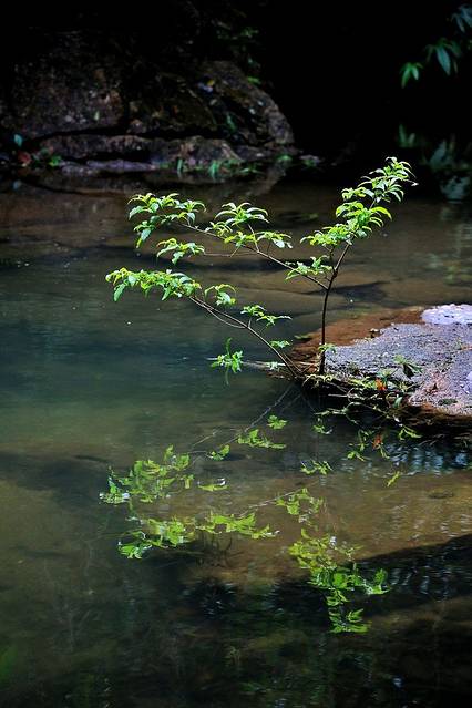 清远的山清水秀,全在天子山瀑布