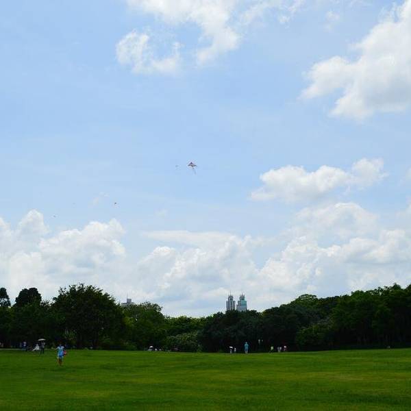 f24bde5f54118ab5.jpg_600x600x70_7cdeafce.jpg
