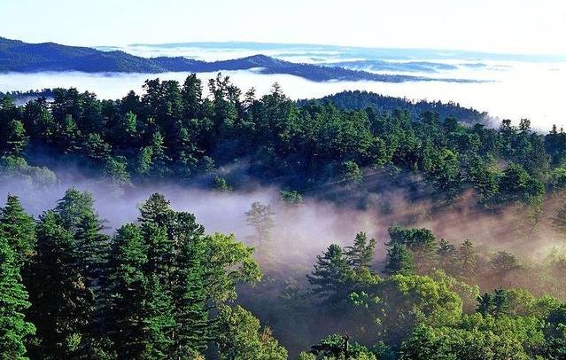 齐齐哈尔国家森林公园