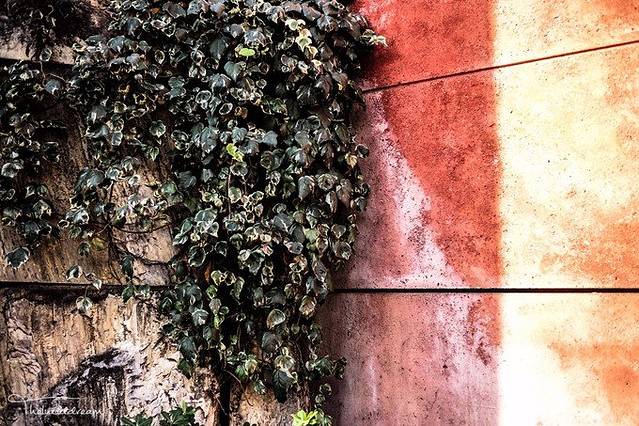 现代及当代艺术博物馆