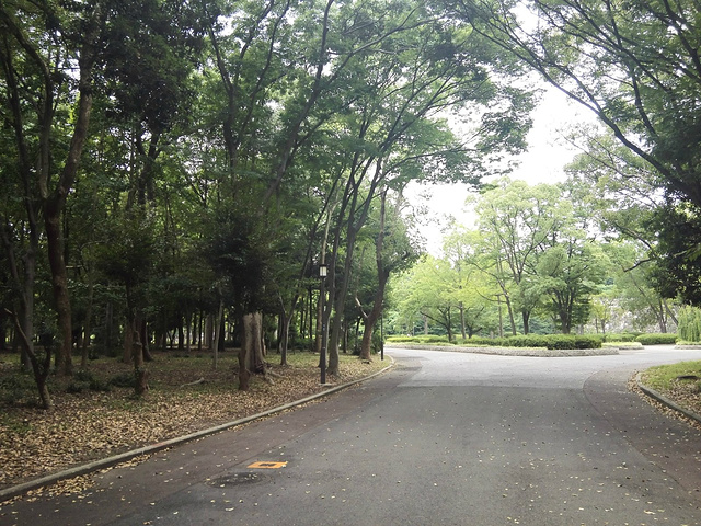 2017今天主要计划就是市区景点,首先是大阪城