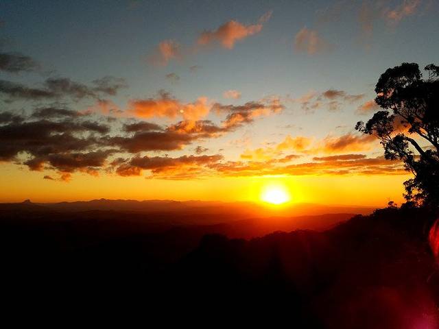 奥莱利雨林度假村