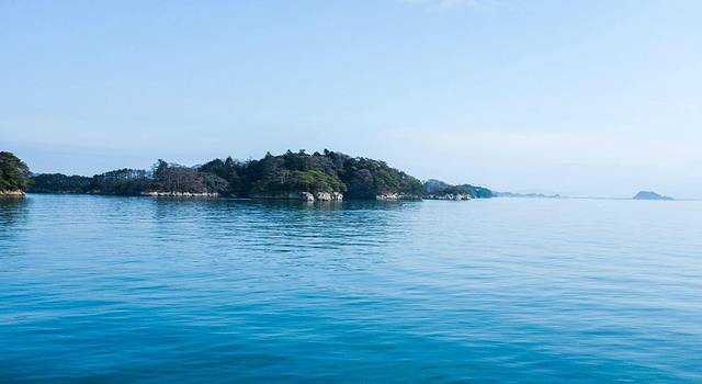 对日本的喜爱,不是说说而已