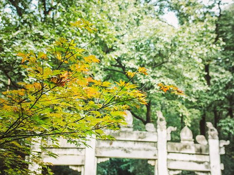 谭延闿墓旅游景点图片