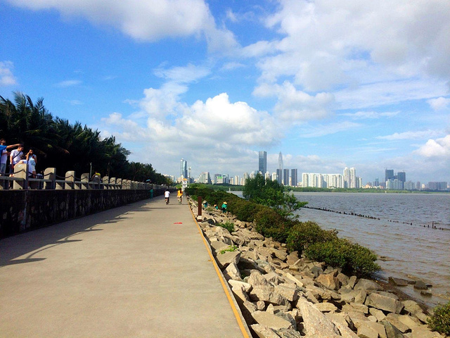 深圳这边的景点主要有大梅沙小梅沙海上世界世界之窗欢乐谷红树林南澳