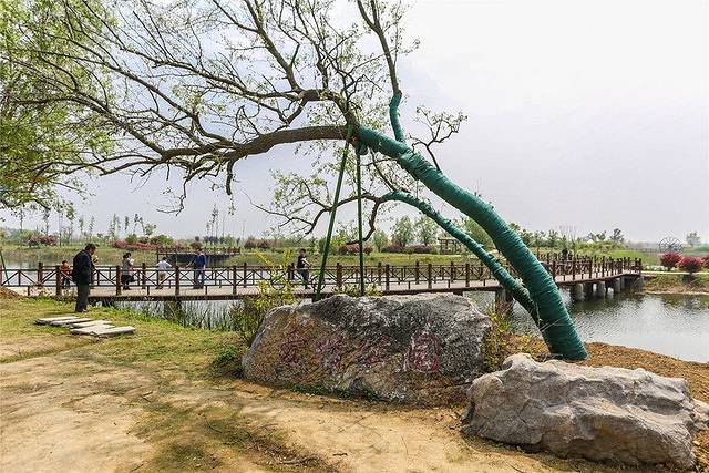 泗洪洪泽湖湿地景区