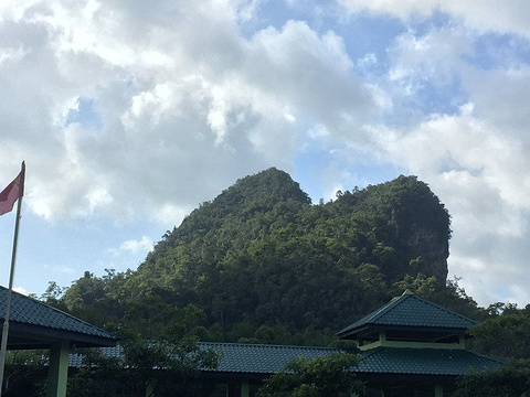 红树林旅游景点攻略图