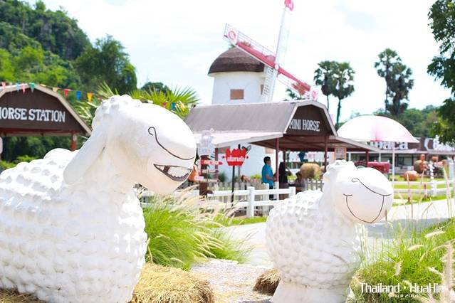 芭提雅绵羊农场