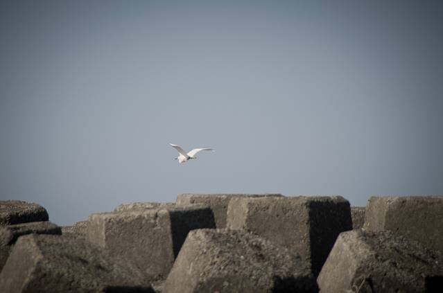 浅水湾海滨公园