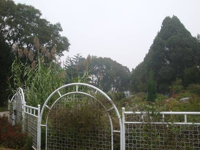 国家植物园南园