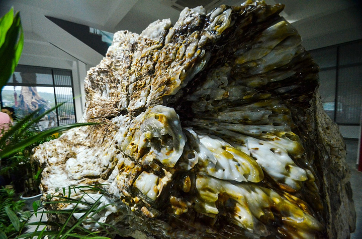 2018.光农业、高端民宿等业态,吸引了太湖龙之