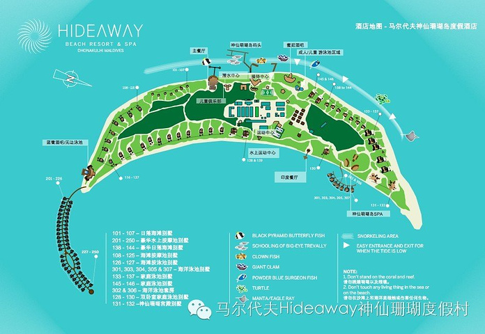 也可以直接跟前台预订潜水等服务,前台的会便宜一些,地图的背后都有