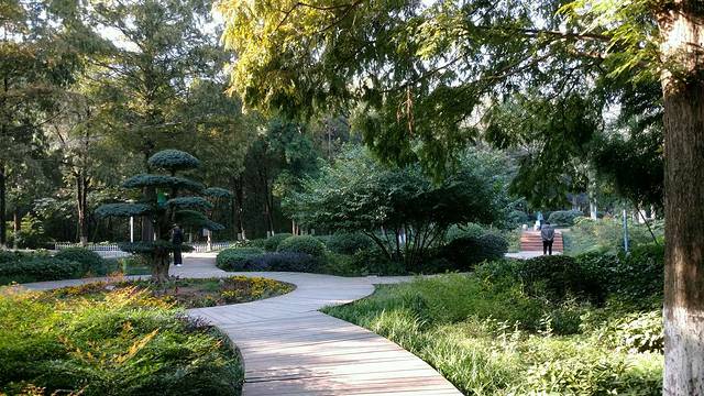 相山国家森林公园