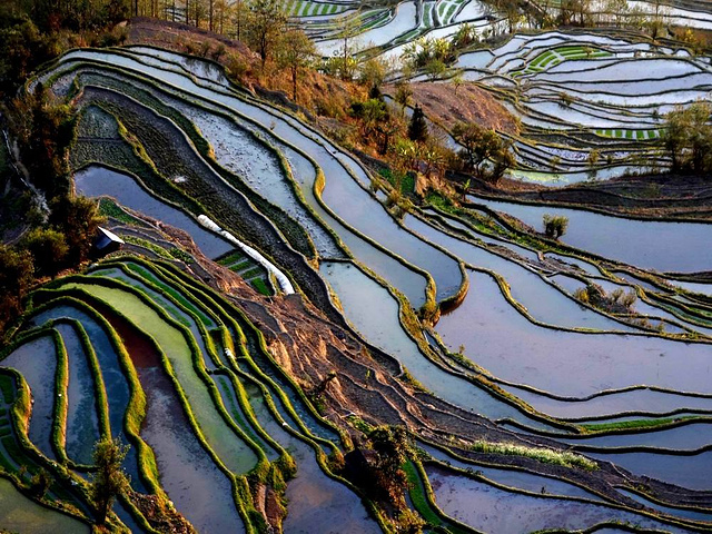 "这里是元阳山势最险峻、气势最恢宏壮观的梯田，堪称“大地雕塑”的典范。摄于元阳老虎嘴梯田景区_老虎嘴景区"的评论图片