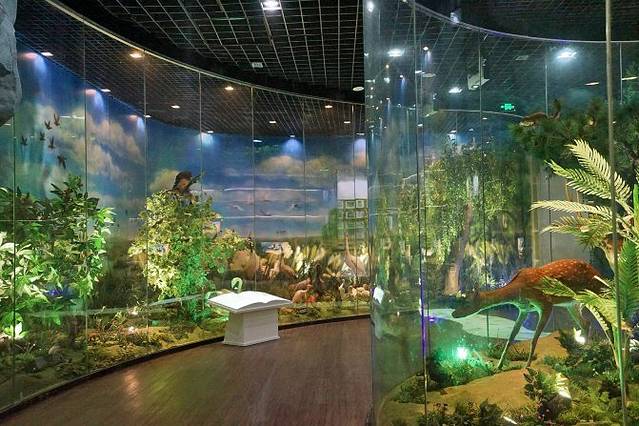 大阳山国家森林公园