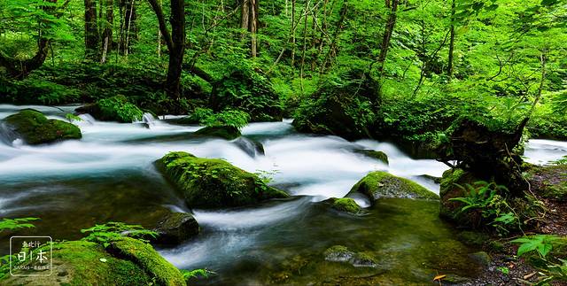 日本东北小众之旅,青森,秋田,岩手,花卷,涵馆,登