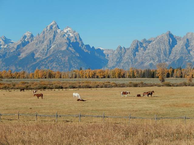 大蒂顿国家公园