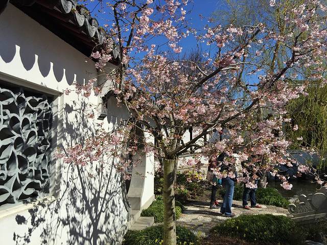 但尼丁中国花园