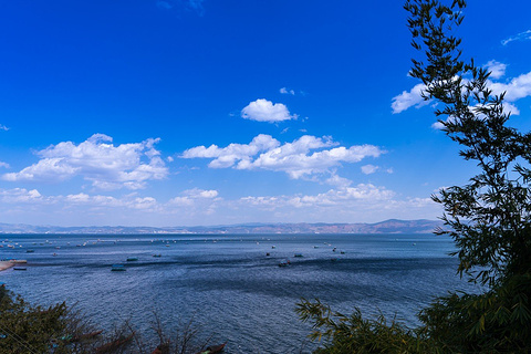 澄江禄充景区旅游景点攻略图