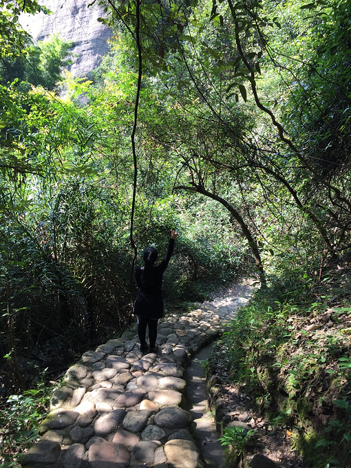 冠豸山国家级风景名胜区图片