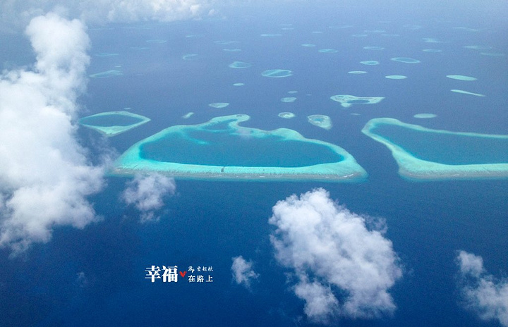 2017补发入境卡和出境卡,英文不好的朋友可以