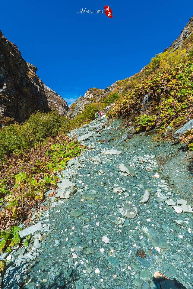 【真·川西】怀念我在云上走的那段时光