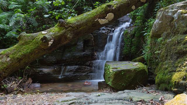 天子山风景区