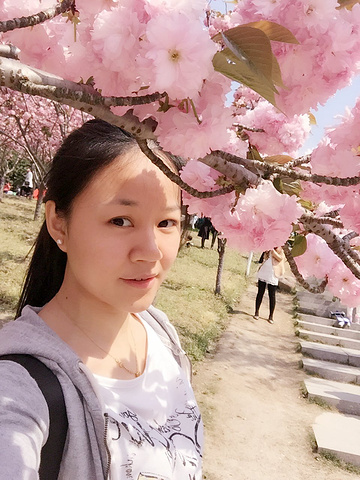 地址地铁1号线上海马戏城站2号口出来即是门票5元还有很多小朋友超